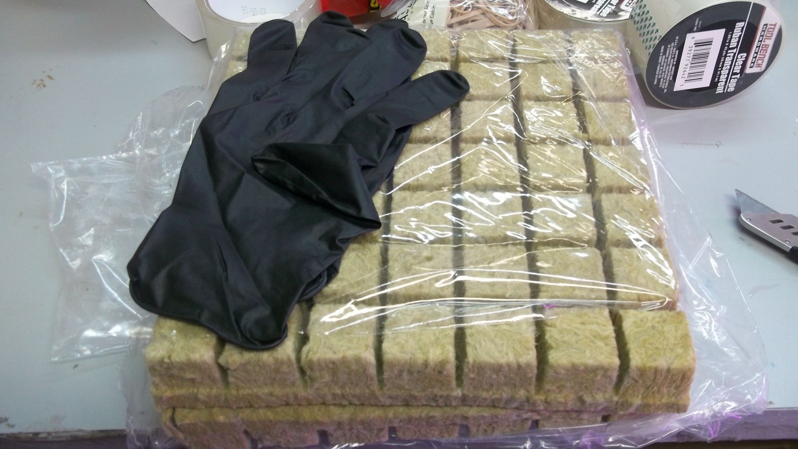 rockwool cubes