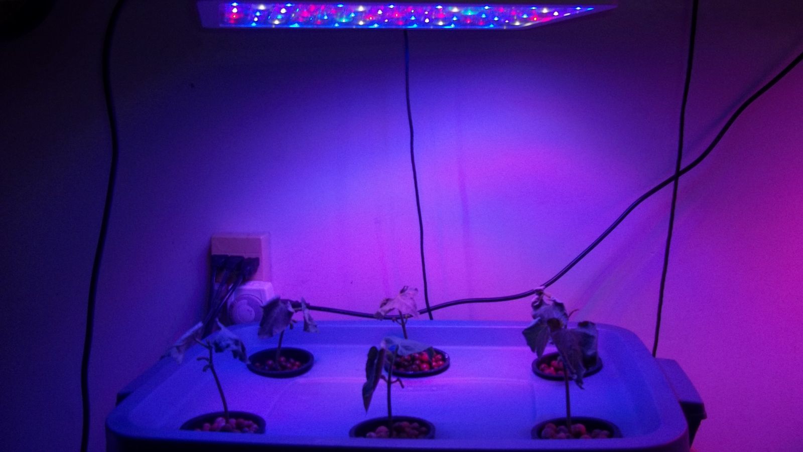VEG mode led light