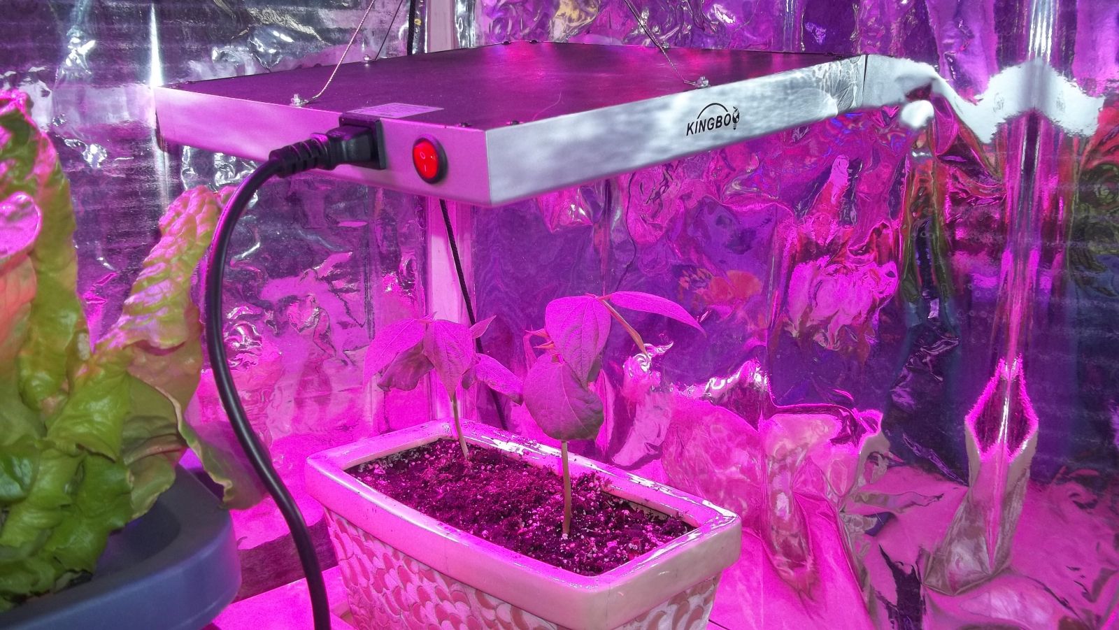 Kingbo 45 watt led grow light