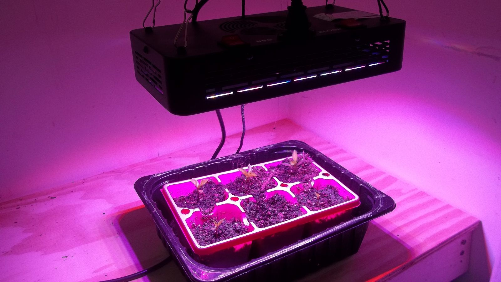 Niello 300 watt LED Grow Light Review