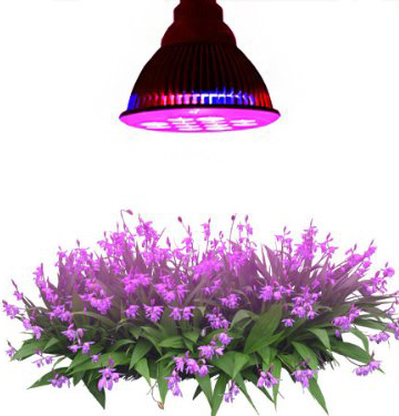 LED Grow Light
