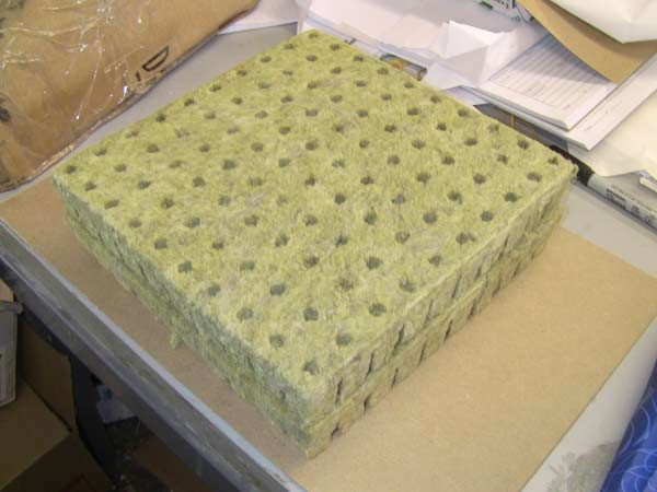 1" Rockwool Cubes