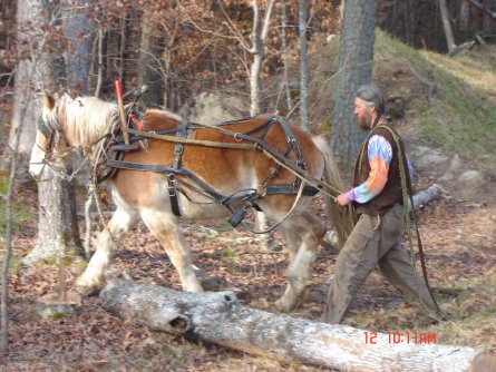 Eustace Conway Hauling Logs