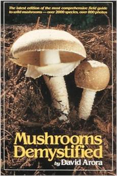 Best Mushroom Field Guide