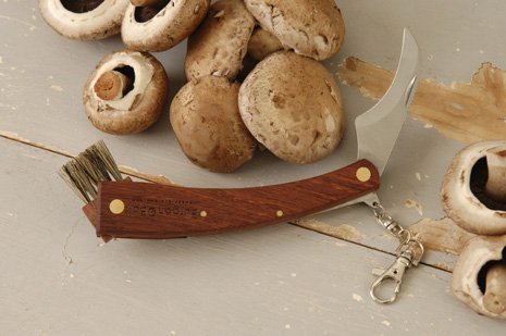 mushroom hunting knife