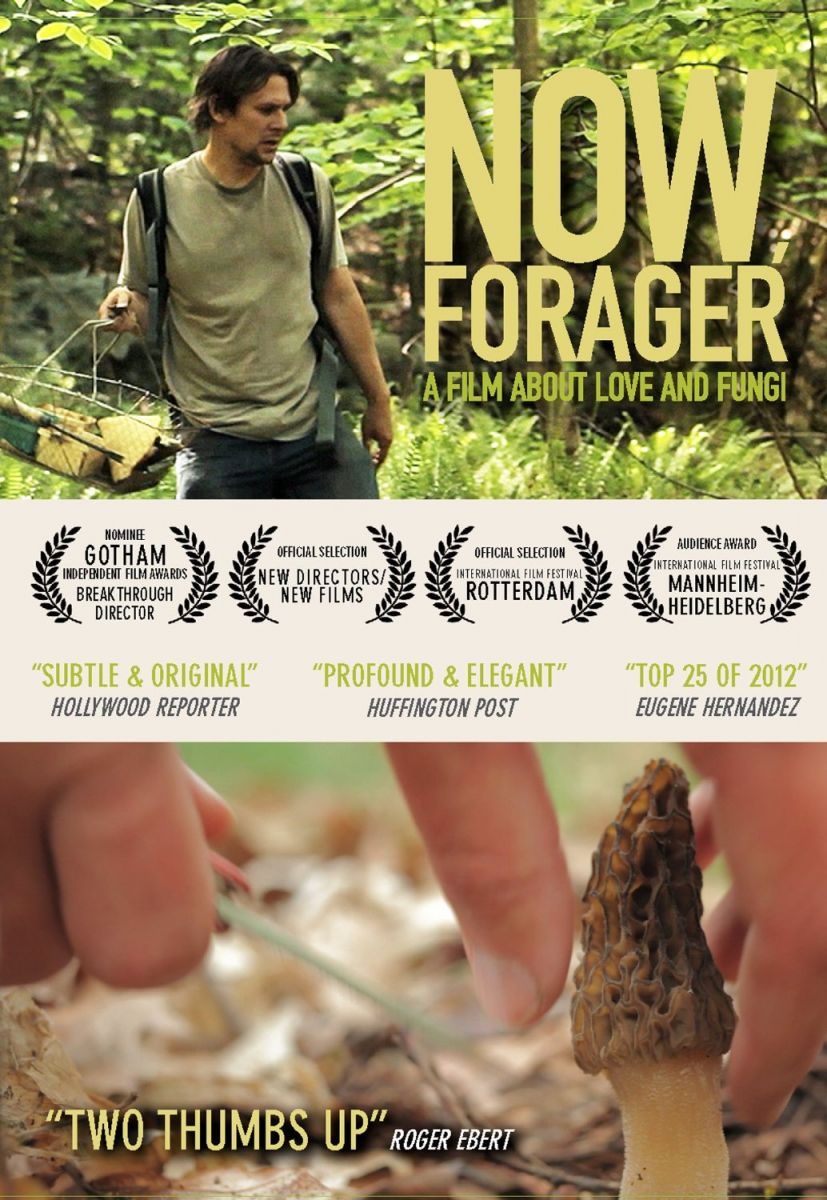 Now Forager DVD