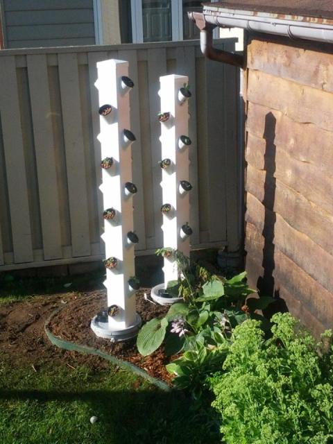 Vertical Hydroponic Rain Towers