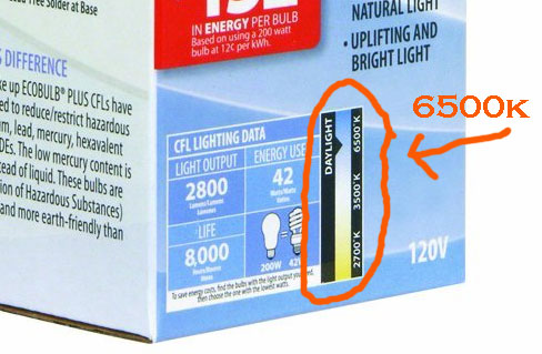 CFL Grow Light Color Temperature