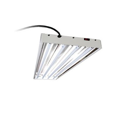 Fluorescent Grow Lights